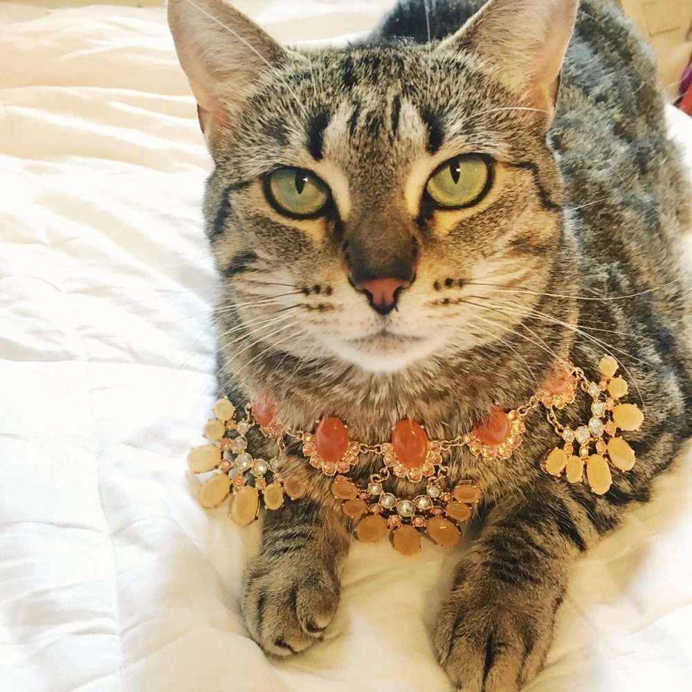 First - Picture 2 of 4